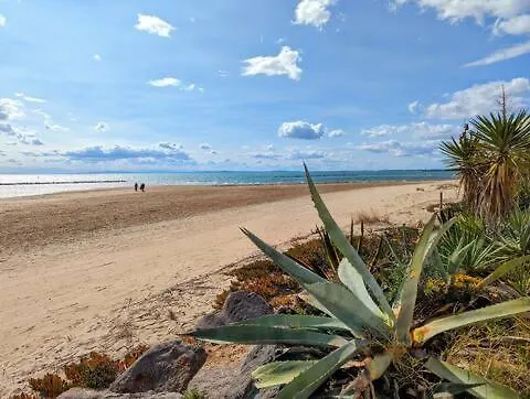 T4 - Piscine - Wifi - Clim - Boulodrome - A 170m Le Grau-dʼAgde